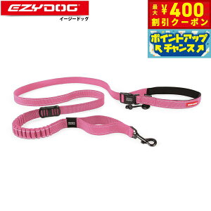 y400~OFFN[|IX|Cgő46{I121IzC[W[hbO EZYDOG [hi[ [h sN VbNz@\ | V_[[h