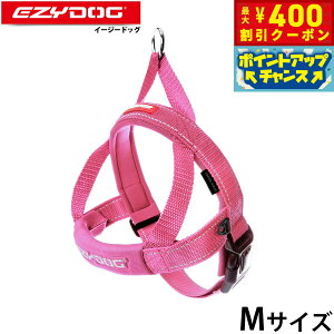 y400~OFFN[|IX|Cgő46{I121IzC[W[hbO EZYDOG NCbNn[lX M sN ȒP 