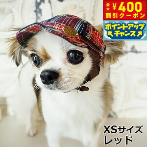 y400~OFFN[|IX|Cgő46{I121Iz̖Xq K[fIuGf `FbNLXPbg XS bhyz