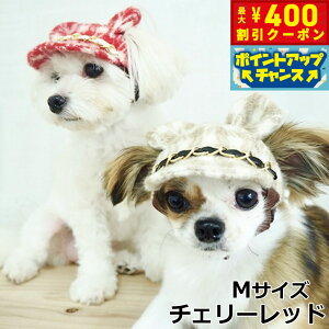 y400~OFFN[|IX|Cgő46{I121Iz̖Xq K[fIuGf 璹iq܂CAP M `F[bhyz