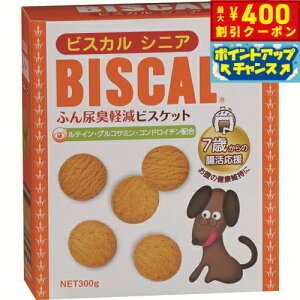 y400~OFFN[|IX|Cgő46{I121IzrXJVjA 300g pi/ybgObY/ybgpi