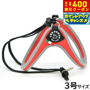 y400~OFFN[|IX|Cgő46{I121Izg|eB TREPONTI x^ tNeBu ^pn[lX 3 bh