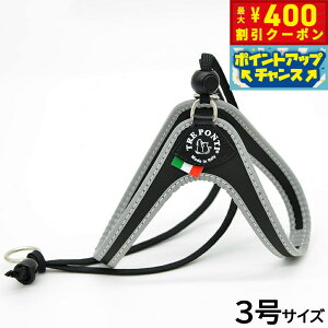 y400~OFFN[|IX|Cgő46{I{Izg|eB TREPONTI x^ tNeBu ^pn[lX 3 ubN