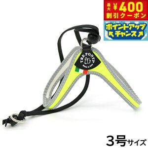 y400~OFFN[|IX|Cgő46{I121Izg|eB TREPONTI x^ tI ^pn[lX 3 CG[