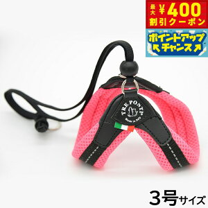 y400~OFFN[|IX|Cgő46{I121Izg|eB TREPONTI x^ \tgbV ^pn[lX 3 sN