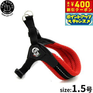 y400~OFFN[|IX|Cgő43{I{Izg|eB TRE PONTI tBbrA AWX^u^Cv \tgbV n[lX 1.5 bh