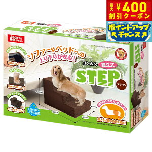 y400~OFFN[|IX|Cgő46{I121Iz}J GONTA CLUBiS^Nuj S̑gXebv uE Ki