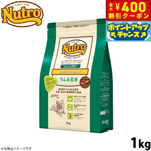 y400~OFFN[|IX|Cgő46{I121Izj[g i``CX hbOt[h  ^`^ GCWOPA 1kg VjA  Y  ybgObY