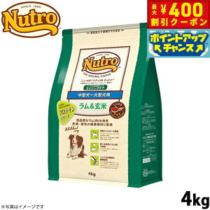 y400~OFFN[|IX|Cgő46{I121Izj[g i``CX hbOt[h  ^`^ GCWOPA 4kg Y VjA v~A pi y