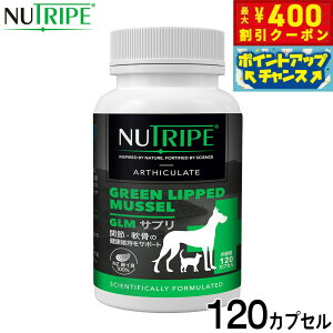 y400~OFFN[|IX|Cgő46{I121Izj[gCv Tvg GLMTv 120JvZyz ORT~ RhC` ֐ ΃CL