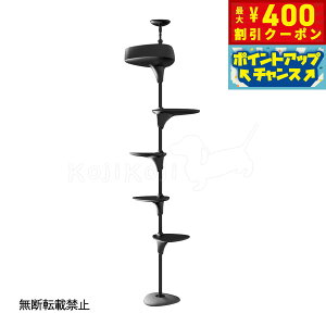 y400~OFFN[|IX|Cgő43{I{Izyr[TzOPPO Ib| Lbg^[ ˂ X ȃXy[X LbgtHXg c[ CatForest-2  ub