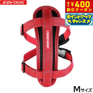 y400~OFFN[|IX|Cgő46{I121IzC[W[hbO EZYDOG n[lX M bhyz `FXgv[g   ^