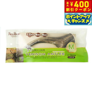 y400~OFFN[|IX|Cgő46{I121Izybc[g xj\Ag[ M p  ̊p