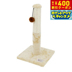 y400~OFFN[|IX|Cgő46{I121Izybgv ˂ ˂D܂Ƃ Lbg^[ |[ L RpNg ȃXy[X u