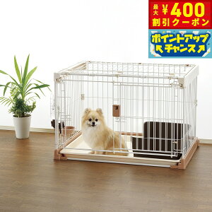 y400~OFFN[|IX|Cgő46{I121Izb`F Richell |ȒPybgP[W900 uE  P[W T[N  ` ^ ^ XCh ^b`b