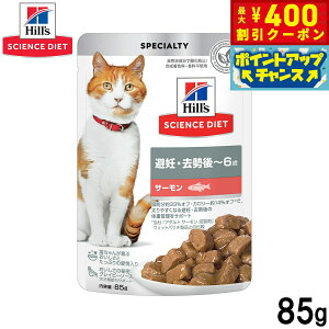 y400~OFFN[|IX|Cgő43{I{IzqY TCGX_CGbg Lbgt[h Lp D `6 T[ pE` 85g