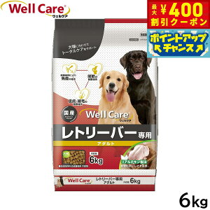 y400~OFFN[|IX|Cgő46{I121IzEFPA hbOt[h g[o[p A_g 6kg Y 