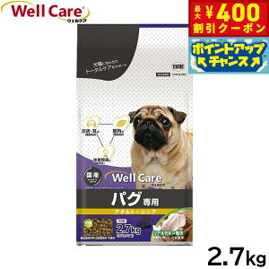 y400~OFFN[|IX|Cgő46{I121IzEFPA hbOt[h pOp A_g`VjA 2.7kg Y 