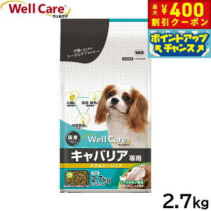 y400~OFFN[|IX|Cgő46{I121IzEFPA hbOt[h LoAp A_g`VjA 2.7kg Y 