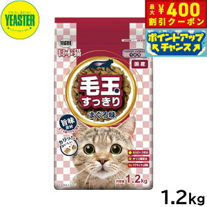 y400~OFFN[|IX|Cgő46{I121IzC[X^[ Lbgt[h {L ыʂ ܂떡 1.2kg Y 