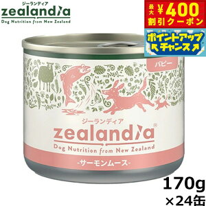 y400~OFFN[|IX|Cgő46{I121IzW[fBA hbOt[h ps[ T[[X qp 170g×24 Y sgp OCt[ EFbg ʋl y