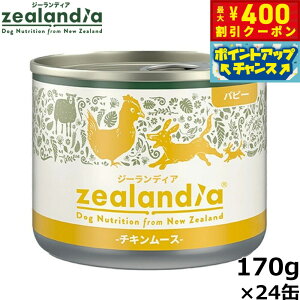 y400~OFFN[|IX|Cgő43{I{IzW[fBA hbOt[h ps[ `L[X qp 170g×24 Y sgp OCt[ EFbg ʋl y