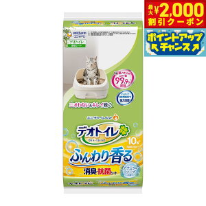 yő2000~OFFN[|IX|Cgő62{I{Izj `[ fIgC ӂ荁L RۃV[g i`\[v̍ 10 Lpi ˂ObY ybgObY yb