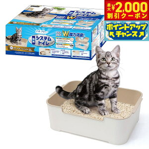 yő2000~OFFN[|IX|Cgő62{I{Izybgv fIt[LpVXegCZbgyz