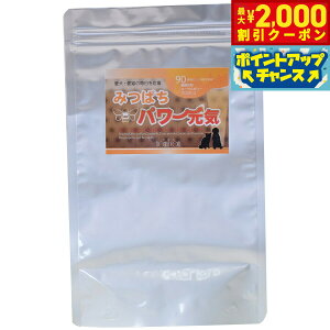 yő2000~OFFN[|IX|Cgő62{I{IzO[[hbOA[X Tvg ݂΂p[C iV[|}bNXj 300g VjA  GCWOPA v