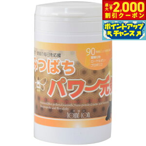 yő2000~OFFN[|IX|Cgő62{I{IzO[[hbOA[X Tvg ݂΂p[C iV[|}bNXj 150g VjA  GCWOPA v