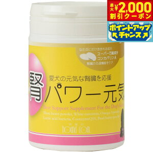 yő2000~OFFN[|IX|Cgő62{I{IzO[[hbOA[X Tvg tp[C 90g  t Y_Ȃgp IK3 RGUCQ10 L y