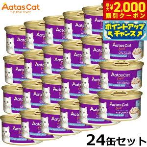 yő2000~OFFN[|IX|Cgő62{I{IzA^X Aatas Lbgt[h \EX[p[t[h Cg~[gciwithLkA 80g×24 Y sgp OCt[ S