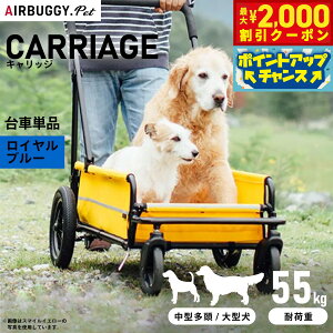 yő2000~OFFN[|IX|Cgő62{IX[p[SALEIzGAoM[ tH[ hbO LbWiCARRIAGEj ԒPi Cu[yz ybgJ[g AIRBUGGY AD3032