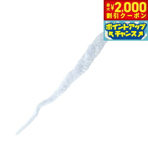 yő2000~OFFN[|IX|Cgő62{I{Izt@^W[[h [O^u[pXyA[ L TOY lR  d {[ ˂炵