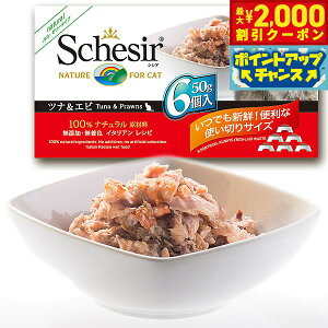 yő2000~OFFN[|IX|Cgő62{I{IzSchesiriVVAjLbgV[Y }`pbN ciGr 50g×6 L Lbgt[h EFbg Lpi/˂ObY/ybg