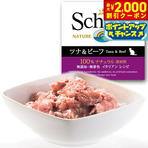 yő2000~OFFN[|IX|Cgő62{I{IzSchesiriVVAjLbgV[Y [[^Cv cir[t 85g L Lbgt[h EFbg Lpi/˂ObY/ybgp