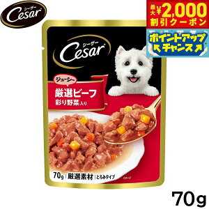 yő2000~OFFN[|IX|Cgő62{I{IzV[U[ hbOt[h pE` p W[V[Ir[t ʂؓ 70g ʋl