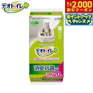 yő2000~OFFN[|IX|Cgő62{I{Izj `[ fIgC L RۃV[g 20 Lp VXegC