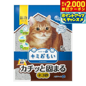 yő2000~OFFN[|IX|Cgő62{IX[p[SALEIzGG[ L~ J`bƌł܂ lR 5L