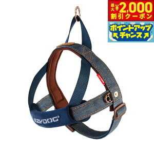 yő2000~OFFN[|IX|Cgő62{I{IzC[W[hbO EZY DOG NCbNn[lX M fjyz