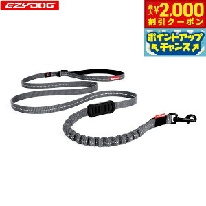 yő2000~OFFN[|IX|Cgő62{I{IzC[W[hbO EZYDOG [VbNCg 120cm OC Lk VbNz