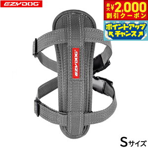 yő2000~OFFN[|IX|Cgő62{IX[p[SALEIzC[W[hbO EZYDOG n[lX S OCyz `FXgv[g   ^ ^