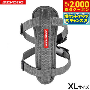 yő2000~OFFN[|IX|Cgő62{I{IzC[W[hbO EZYDOG n[lX XL OCyz `FXgv[g   ^