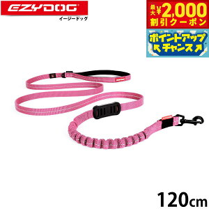 yő2000~OFFN[|IX|Cgő62{I{IzC[W[hbO EZYDOG [VbNCg [h 120cm sN Lk VbNz