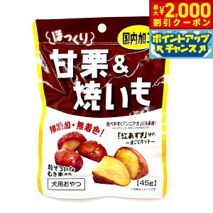 yő2000~OFFN[|IX|Cgő62{I{Iz򏤎 قÌIĂ p 45g Y Y