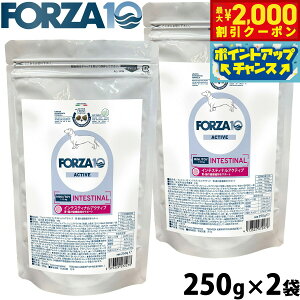 yő2000~OFFN[|IX|Cgő62{I{IztHc@10 Forza10 hbOt[h CeXeBiANeBu ~j ݒPApHÖ@H 250g×2 Y  