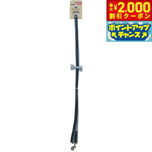 yő2000~OFFN[|IX|Cgő62{I{IztF[N fj{[h SS u[ ^