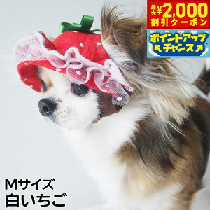 yő2000~OFFN[|IX|Cgő62{I{Iz̖Xq K[fIuGf tnbg MTCY 