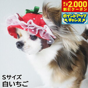 yő2000~OFFN[|IX|Cgő62{IX[p[SALEIz̖Xq K[fIuGf tnbg STCY 