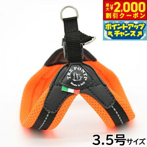 yő2000~OFFN[|IX|Cgő62{I{Izg|eB TREPONTI tBbrA \tgbV ^pn[lX 3.5 IW